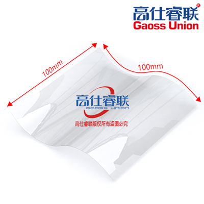 Proton exchange membrane